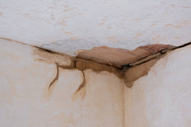 Best Ceiling water damage repair  in Indian Hills, TX