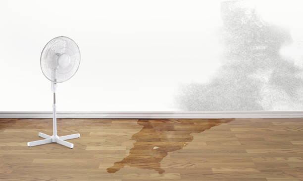 Best 24/7 water damage repair  in Indian Hills, TX
