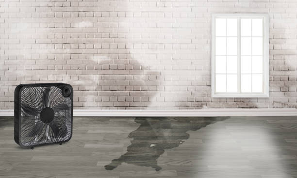 Best Commercial water damage restoration  in Indian Hills, TX