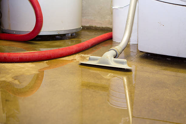  Indian Hills, TX Water damage restoration Pros