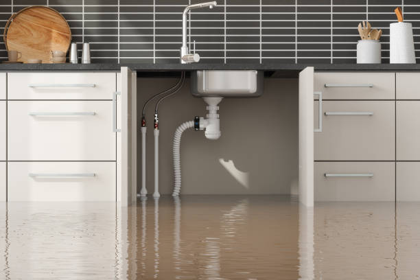 Best Residential water damage restoration  in Indian Hills, TX