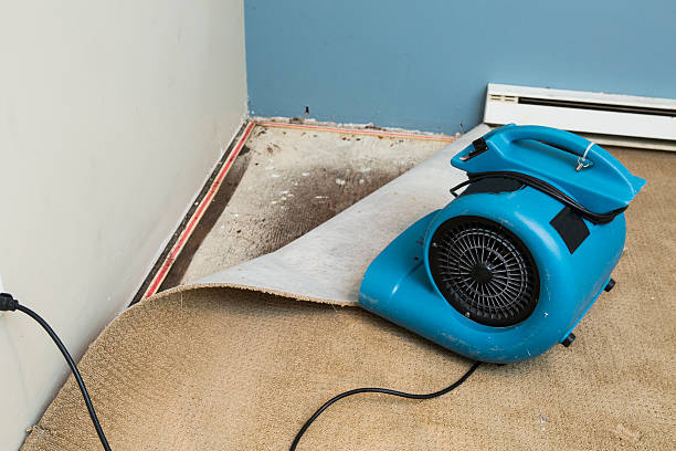 Best 24-hour water damage restoration  in Indian Hills, TX